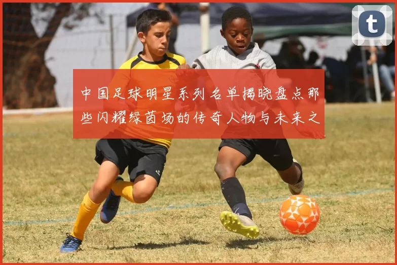 中国足球明星系列名单揭晓盘点那些闪耀绿茵场的传奇人物与未来之星