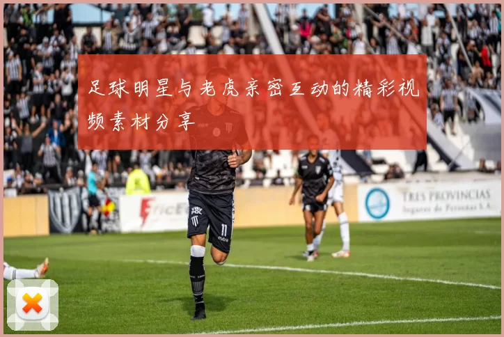 足球明星与老虎亲密互动的精彩视频素材分享