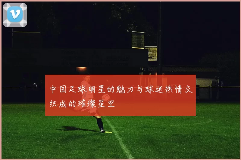 中国足球明星的魅力与球迷热情交织成的璀璨星空