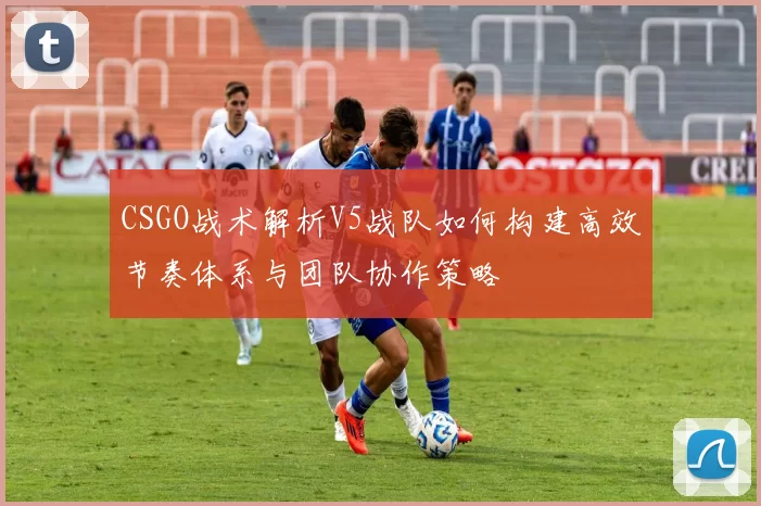 CSGO战术解析V5战队如何构建高效节奏体系与团队协作策略