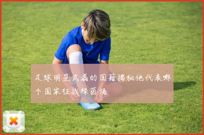 足球明星武磊的国籍揭秘他代表哪个国家征战绿茵场