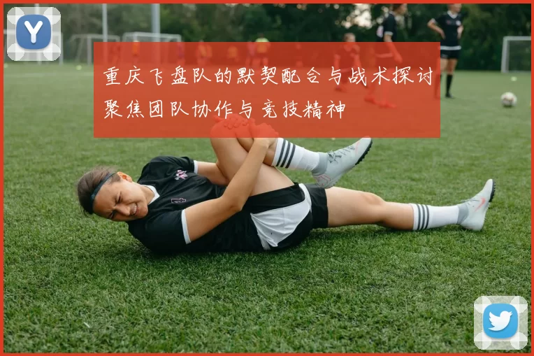 重庆飞盘队的默契配合与战术探讨聚焦团队协作与竞技精神