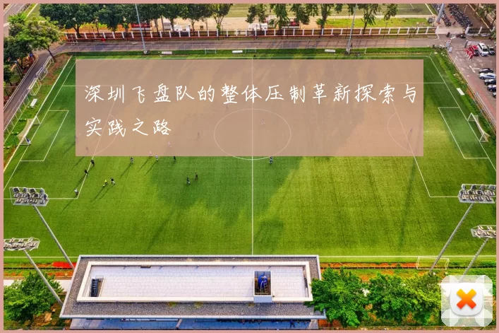 深圳飞盘队的整体压制革新探索与实践之路