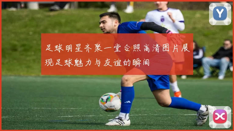 足球明星齐聚一堂合照高清图片展现足球魅力与友谊的瞬间