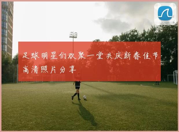 足球明星们欢聚一堂共庆新春佳节高清照片分享
