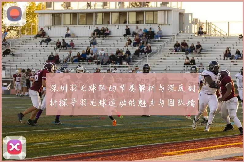 深圳羽毛球队的节奏解析与深度剖析探寻羽毛球运动的魅力与团队精神