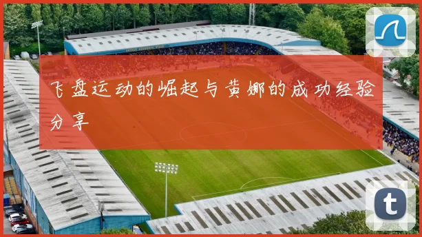 飞盘运动的崛起与黄娜的成功经验分享