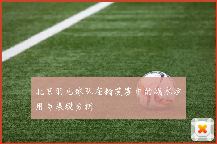 北京羽毛球队在精英赛中的战术运用与表现分析