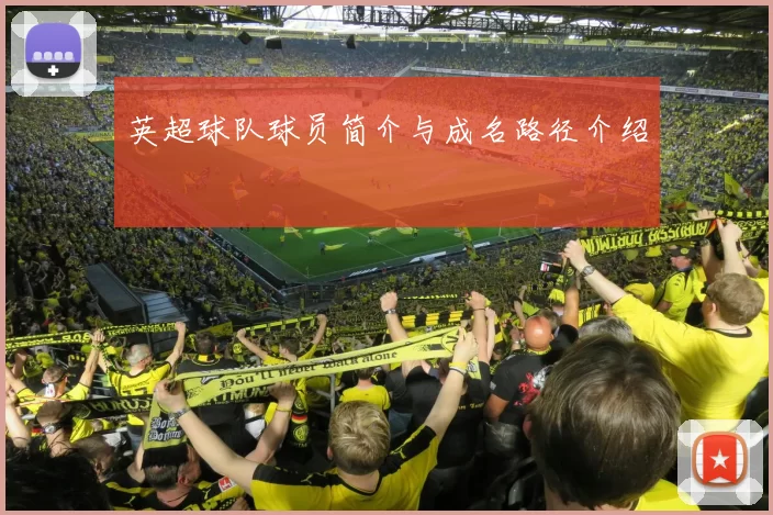 英超球队球员简介与成名路径介绍