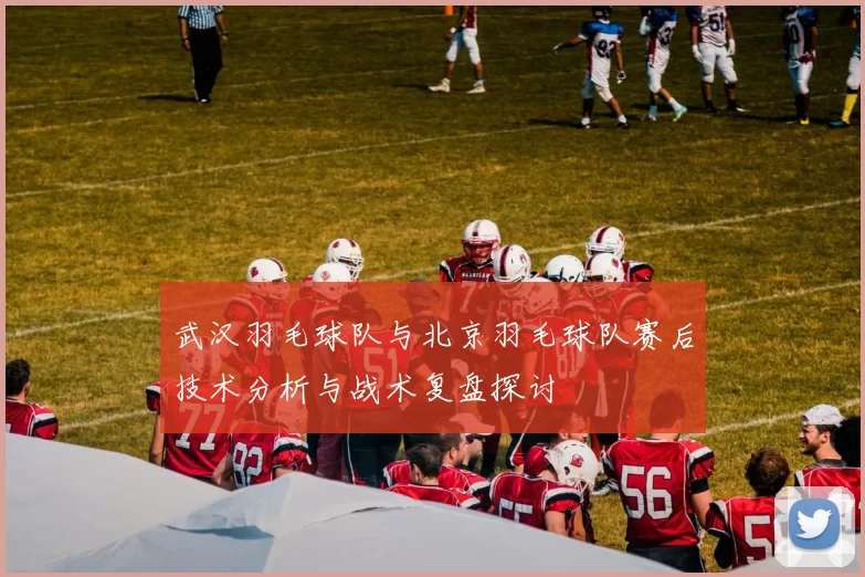 武汉羽毛球队与北京羽毛球队赛后技术分析与战术复盘探讨