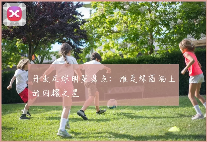 丹麦足球明星盘点：谁是绿茵场上的闪耀之星