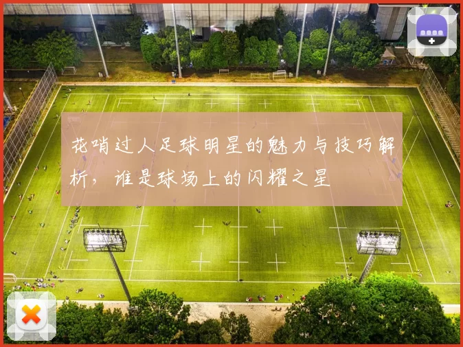 花哨过人足球明星的魅力与技巧解析，谁是球场上的闪耀之星
