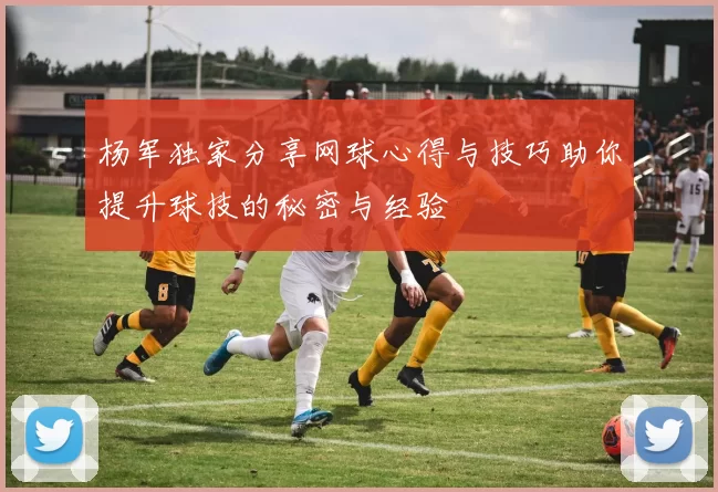 杨军独家分享网球心得与技巧助你提升球技的秘密与经验
