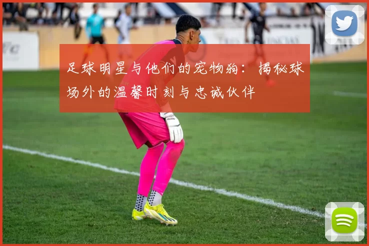 足球明星与他们的宠物狗：揭秘球场外的温馨时刻与忠诚伙伴