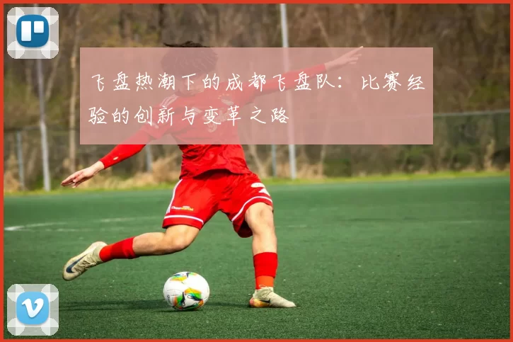 飞盘热潮下的成都飞盘队：比赛经验的创新与变革之路