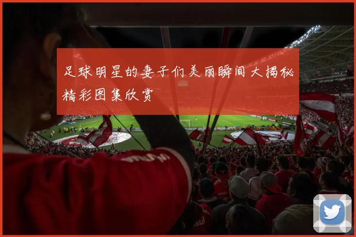 足球明星的妻子们美丽瞬间大揭秘精彩图集欣赏