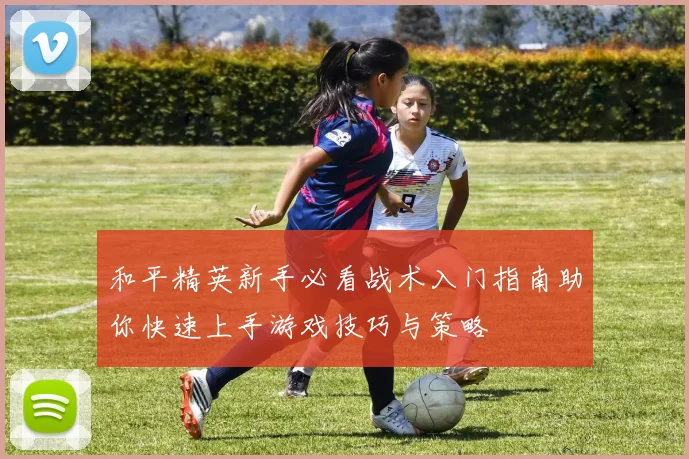 和平精英新手必看战术入门指南助你快速上手游戏技巧与策略
