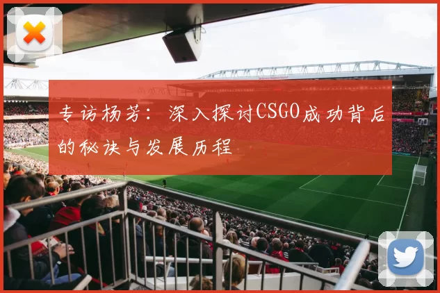 专访杨芳：深入探讨CSGO成功背后的秘诀与发展历程
