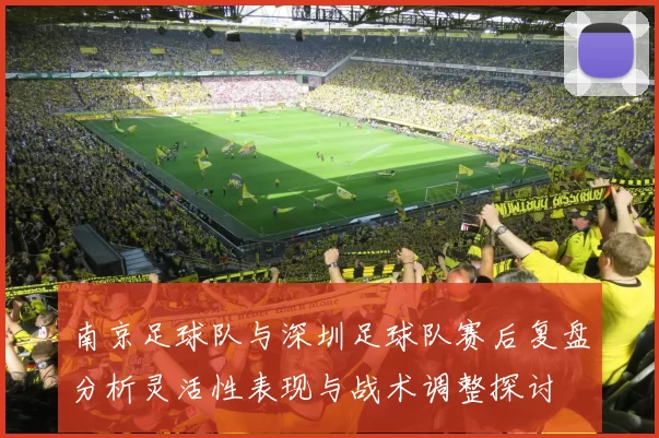 南京足球队与深圳足球队赛后复盘分析灵活性表现与战术调整探讨