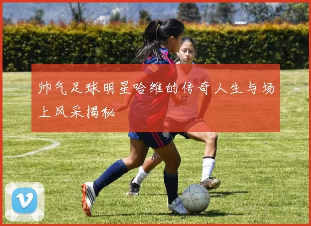 帅气足球明星哈维的传奇人生与场上风采揭秘