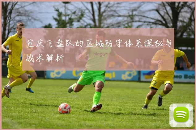 重庆飞盘队的区域防守体系探秘与战术解析