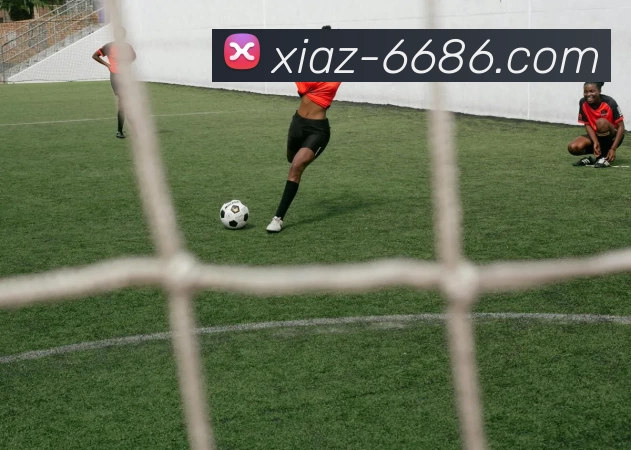 6686体育APP 封面图